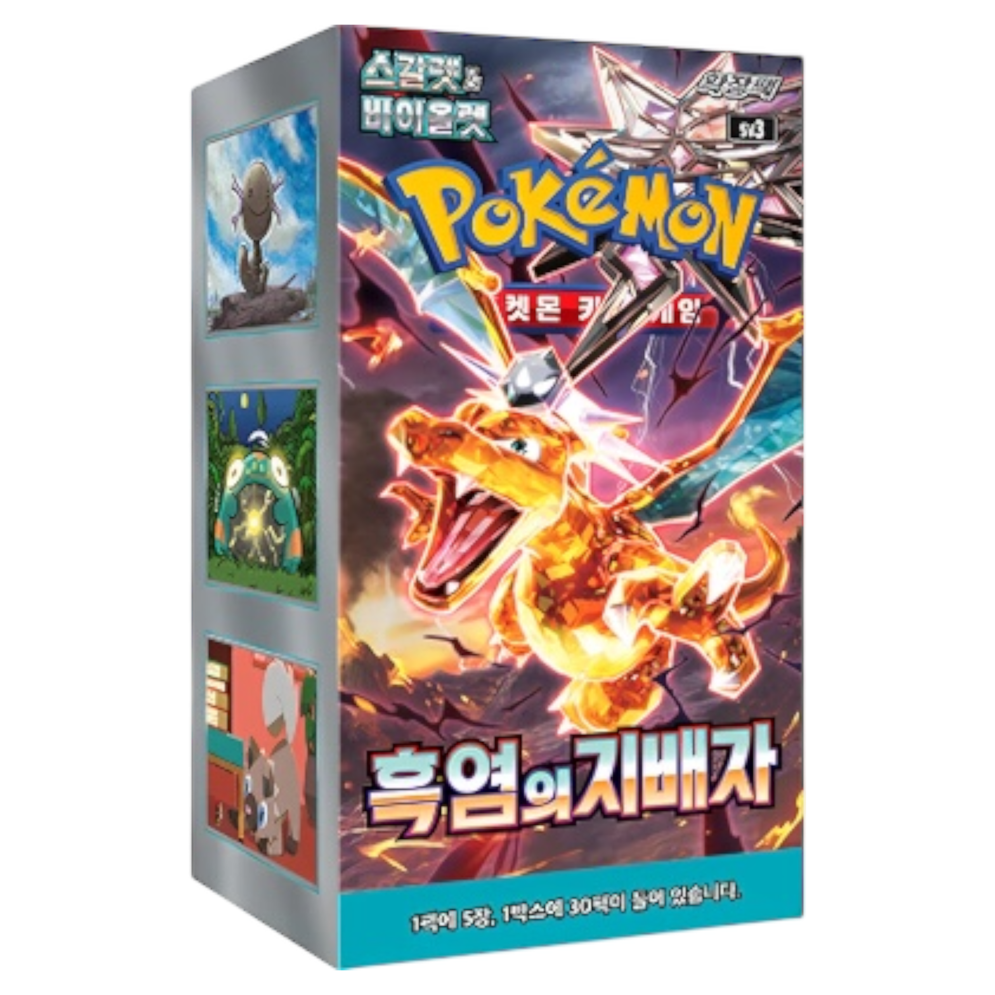 Pokemon - Ruler of the Black Flame - Koreanisch