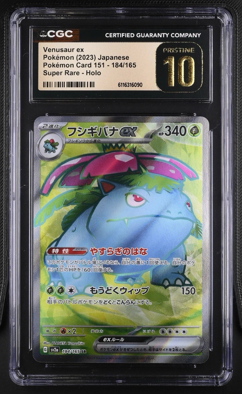 Venusaur 184/165 - Pokemon Card 151  - CGC PRISTINE 10 (Japanisch)